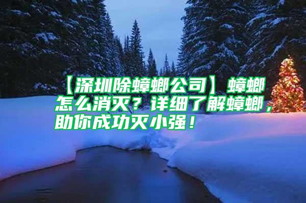 【深圳除蟑螂公司】蟑螂怎么消灭？详细了解蟑螂，助你成功灭小强！