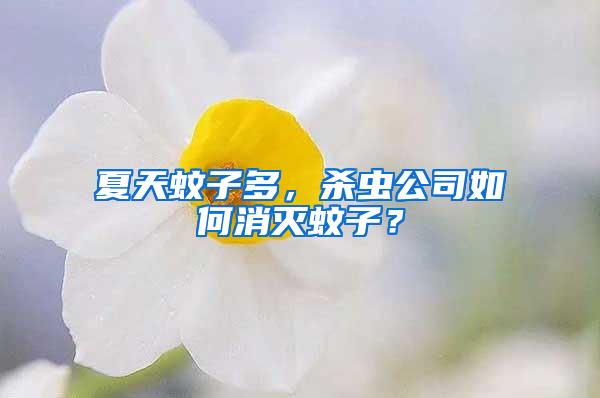 夏天蚊子多，杀虫公司如何消灭蚊子？