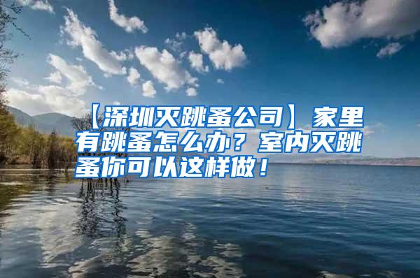 【深圳灭跳蚤公司】家里有跳蚤怎么办？室内灭跳蚤你可以这样做！