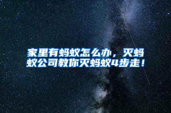 家里有蚂蚁怎么办，灭蚂蚁公司教你灭蚂蚁4步走！