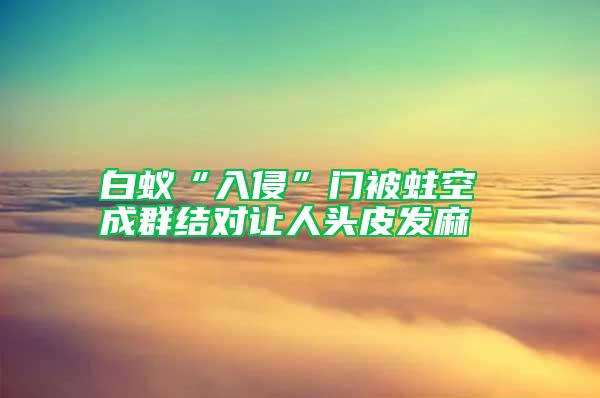 白蚁“入侵”门被蛀空 成群结对让人头皮发麻