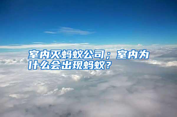 室内灭蚂蚁公司；室内为什么会出现蚂蚁？