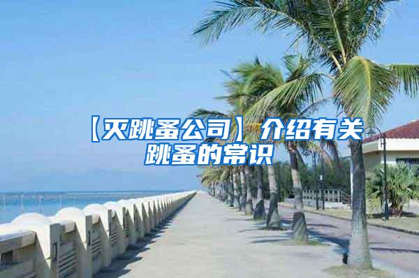 【灭跳蚤公司】介绍有关跳蚤的常识