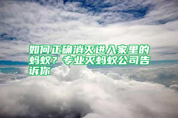 如何正确消灭进入家里的蚂蚁？专业灭蚂蚁公司告诉你