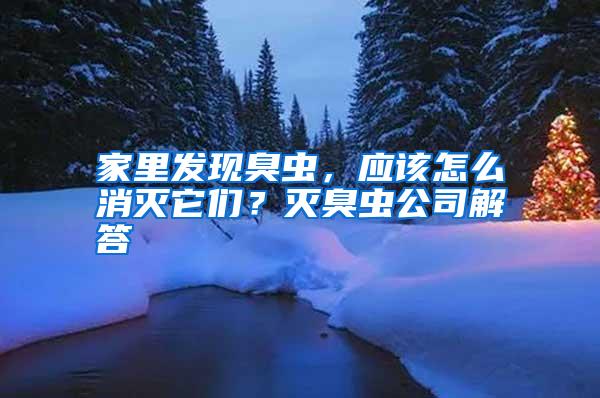 家里发现臭虫，应该怎么消灭它们？灭臭虫公司解答