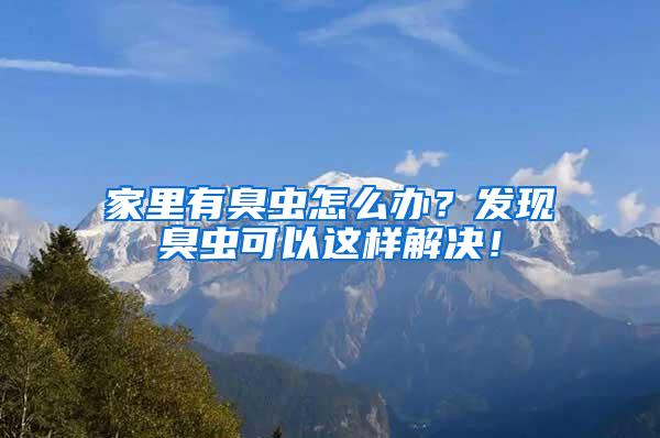 家里有臭虫怎么办？发现臭虫可以这样解决！