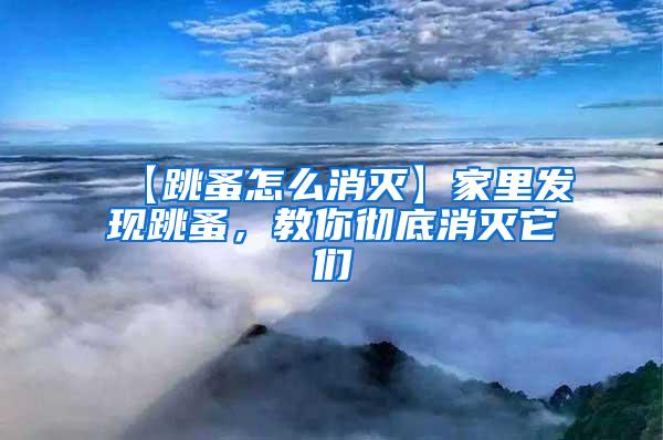 【跳蚤怎么消灭】家里发现跳蚤，教你彻底消灭它们