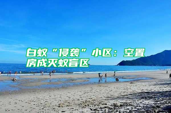 白蚁“侵袭”小区：空置房成灭蚁盲区
