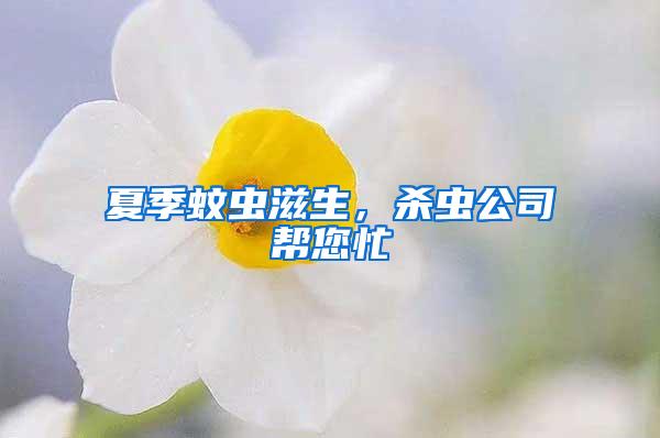 夏季蚊虫滋生，杀虫公司帮您忙