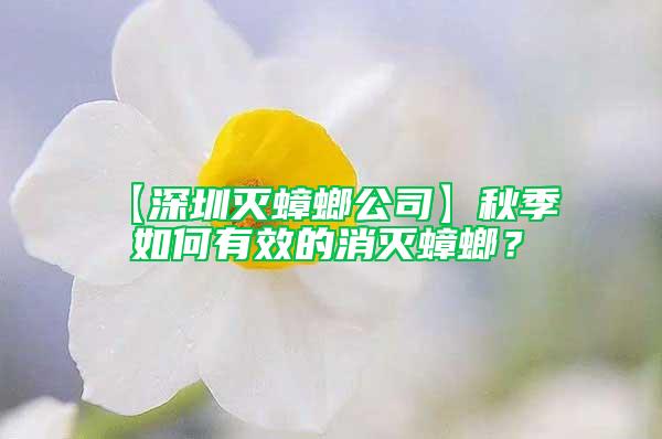 【深圳灭蟑螂公司】秋季  如何有效的消灭蟑螂？