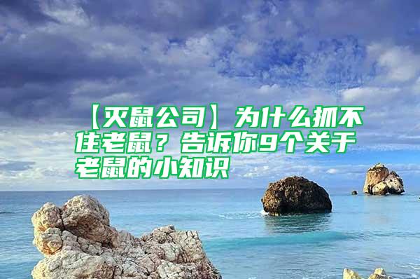 【灭鼠公司】为什么抓不住老鼠？告诉你9个关于老鼠的小知识