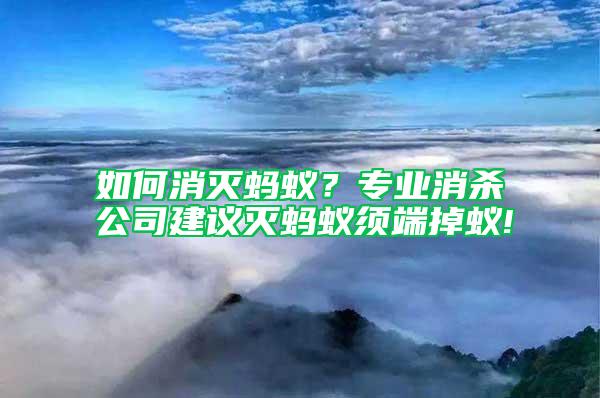 如何消灭蚂蚁？专业消杀公司建议灭蚂蚁须端掉蚁!