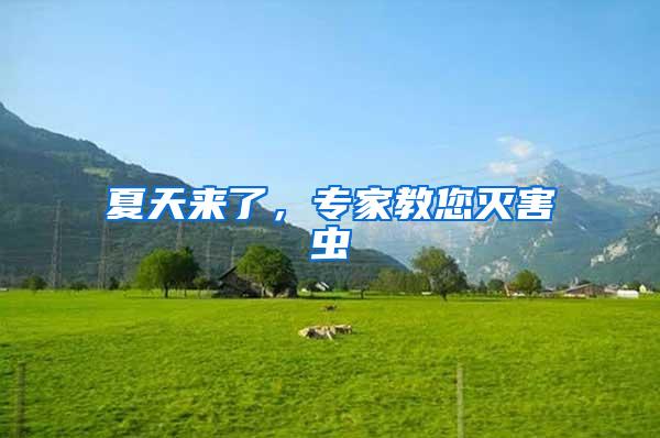 夏天来了，专家教您灭害虫