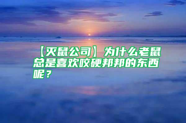 【灭鼠公司】为什么老鼠总是喜欢咬硬邦邦的东西呢？