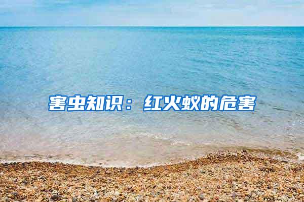 害虫知识：红火蚁的危害