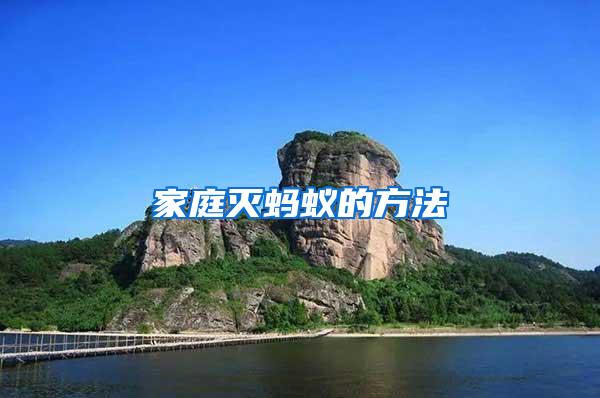 家庭灭蚂蚁的方法