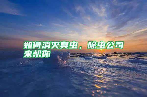 如何消灭臭虫，除虫公司来帮你