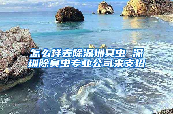 怎么样去除深圳臭虫 深圳除臭虫专业公司来支招