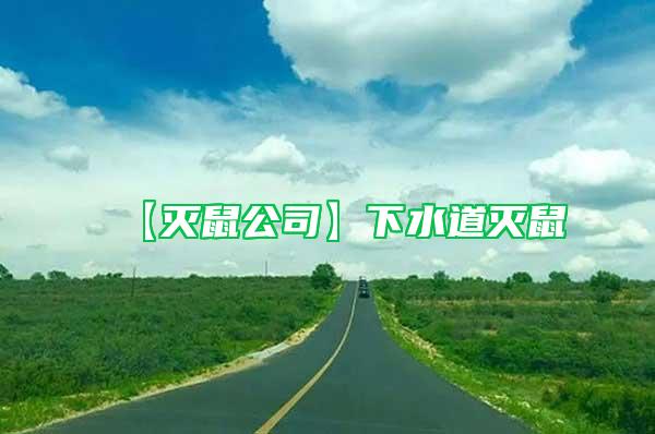 【灭鼠公司】下水道灭鼠