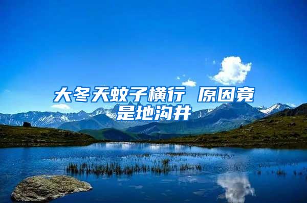 大冬天蚊子横行 原因竟是地沟井