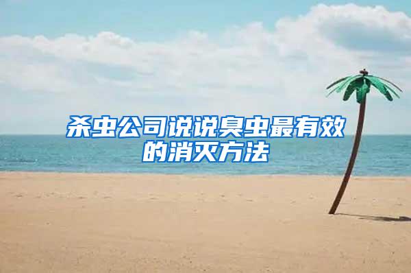 杀虫公司说说臭虫最有效的消灭方法