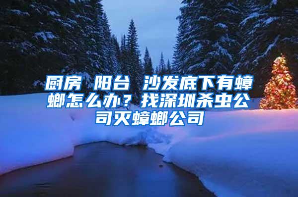 厨房 阳台 沙发底下有蟑螂怎么办？找深圳杀虫公司灭蟑螂公司