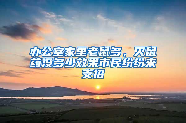 办公室家里老鼠多，灭鼠药没多少效果市民纷纷来支招