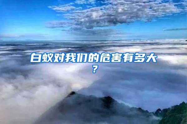 白蚁对我们的危害有多大？