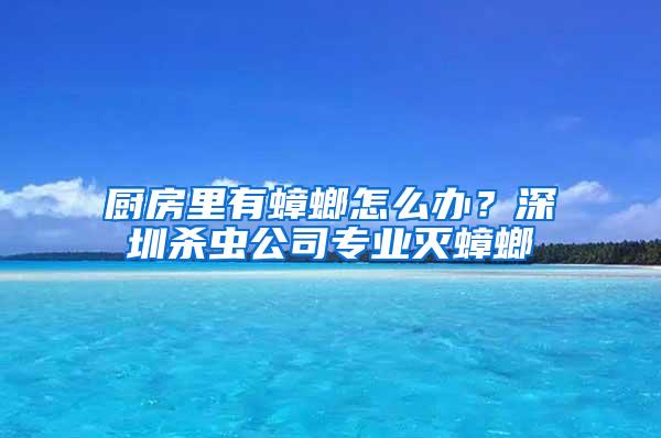 厨房里有蟑螂怎么办？深圳杀虫公司专业灭蟑螂