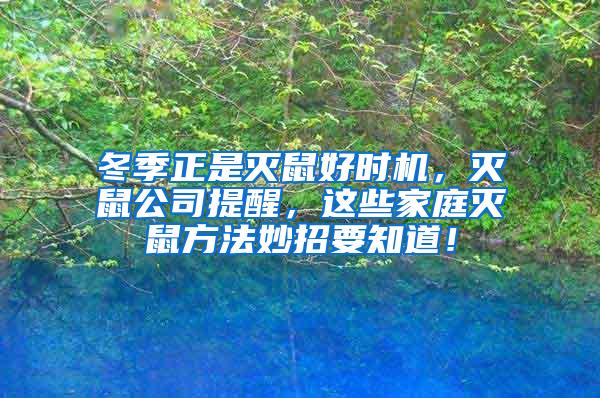 冬季正是灭鼠好时机，灭鼠公司提醒，这些家庭灭鼠方法妙招要知道！