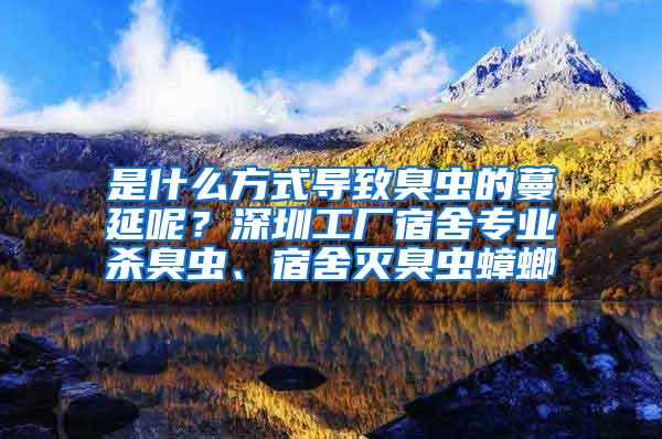 是什么方式导致臭虫的蔓延呢？深圳工厂宿舍专业杀臭虫、宿舍灭臭虫蟑螂