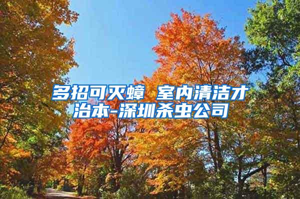 多招可灭蟑 室内清洁才治本-深圳杀虫公司