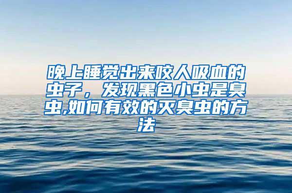 晚上睡觉出来咬人吸血的虫子，发现黑色小虫是臭虫,如何有效的灭臭虫的方法