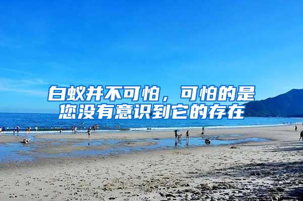 白蚁并不可怕，可怕的是您没有意识到它的存在