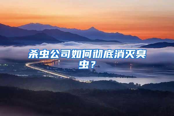 杀虫公司如何彻底消灭臭虫？
