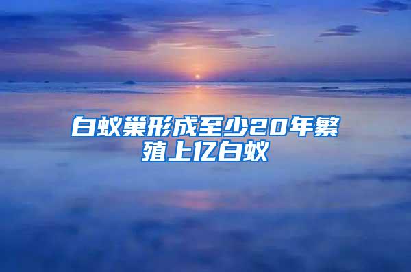 白蚁巢形成至少20年繁殖上亿白蚁