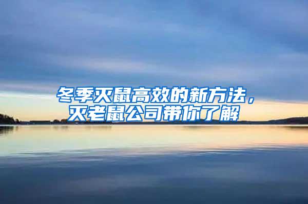 冬季灭鼠高效的新方法，灭老鼠公司带你了解