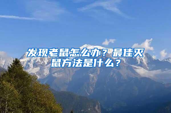 发现老鼠怎么办？最佳灭鼠方法是什么？