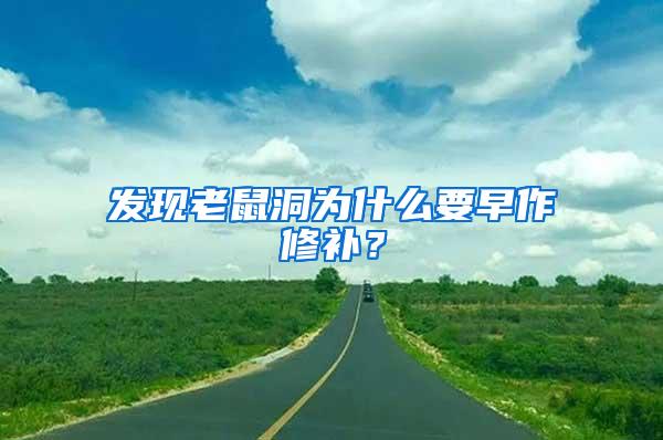 发现老鼠洞为什么要早作修补？