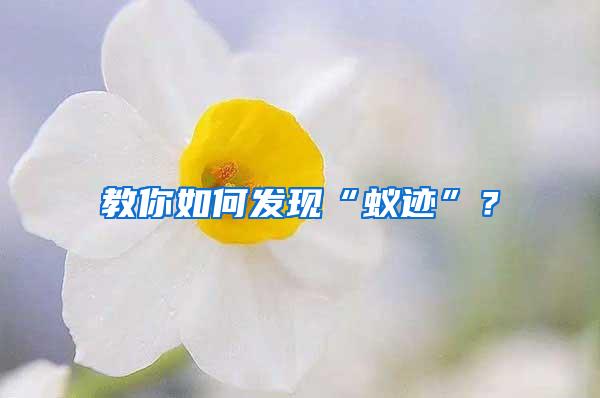 教你如何发现“蚁迹”？