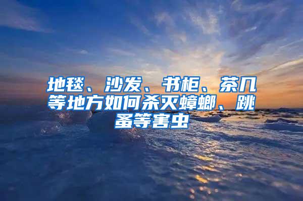 地毯、沙发、书柜、茶几等地方如何杀灭蟑螂、跳蚤等害虫