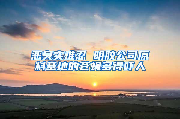 恶臭实难忍 明胶公司原料基地的苍蝇多得吓人