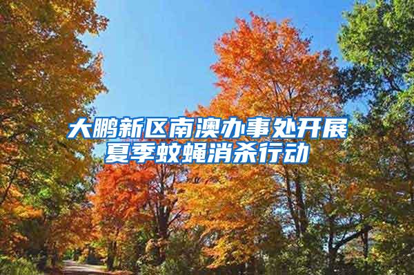 大鹏新区南澳办事处开展夏季蚊蝇消杀行动