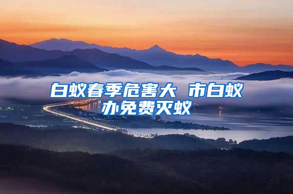 白蚁春季危害大 市白蚁办免费灭蚁