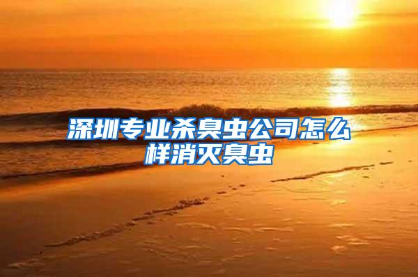 深圳专业杀臭虫公司怎么样消灭臭虫
