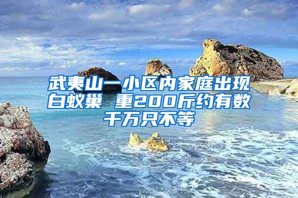 武夷山一小区内家庭出现白蚁巢 重200斤约有数千万只不等