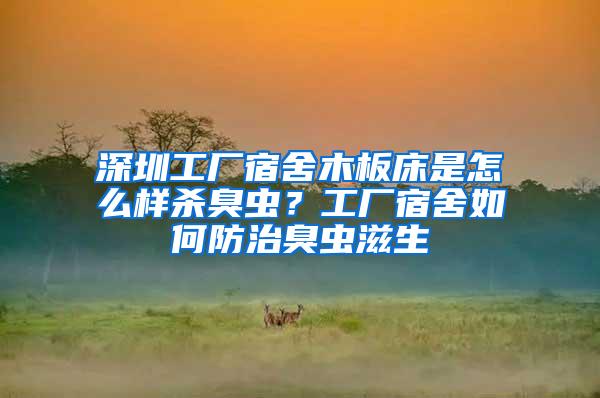 深圳工厂宿舍木板床是怎么样杀臭虫？工厂宿舍如何防治臭虫滋生