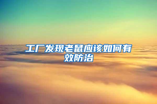 工厂发现老鼠应该如何有效防治