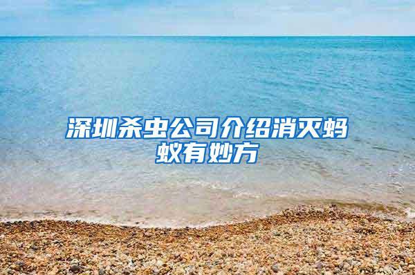 深圳杀虫公司介绍消灭蚂蚁有妙方