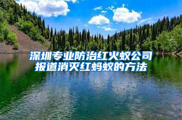 深圳专业防治红火蚁公司报道消灭红蚂蚁的方法